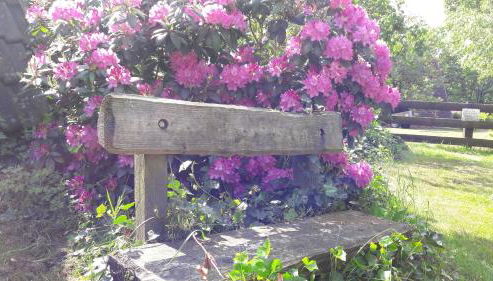 Eitzmanns Ferienhauser - Foto 2