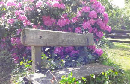 Eitzmanns Ferienhauser - Foto 2