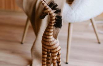 Brzozowa Osada - Foto 22