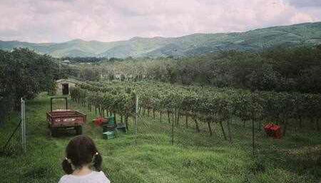 Fantastic Apartment in the Heart of Toscana - Foto 5