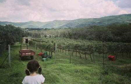 Fantastic Apartment in the Heart of Toscana - Foto 5