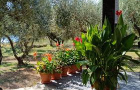 Olive Garden Beachside Hideaway - Photo 24