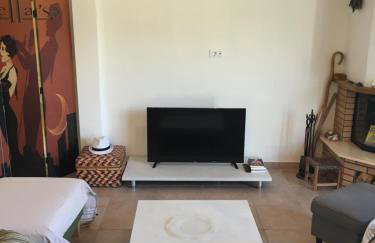 The Olive Orchard - Foto 17