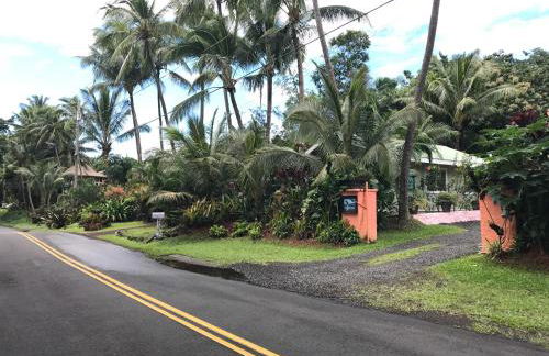 Whale House at Kehena Beach - Foto 18