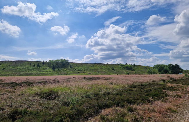 6 Person Holiday Home in Bording - Foto 18