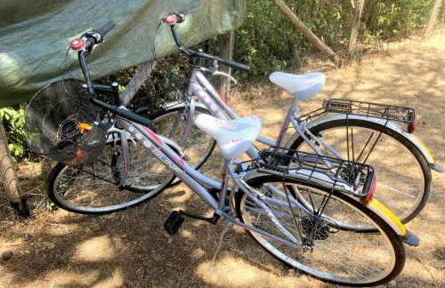 Elba Villa Colle - Nel verde ma vicina al mare - Foto 8