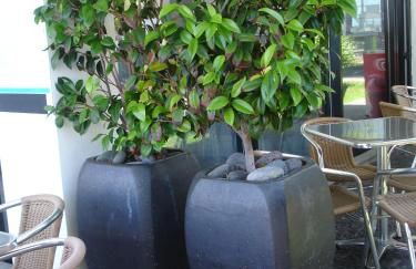 Casa da Capelinha - Foto 130