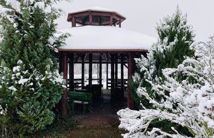 Gospodarstwo Agroturystyczne Zasadkowe Bory - Foto 20