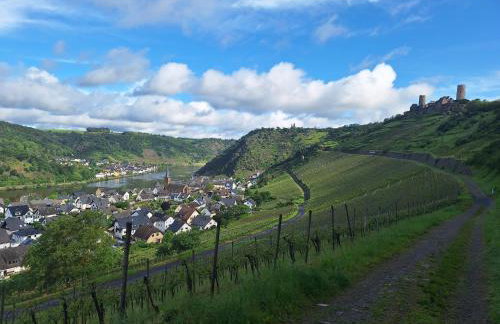 Moselburgblick - Foto 17