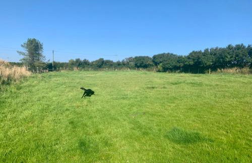 Honeysuckle Cottage - Foto 16