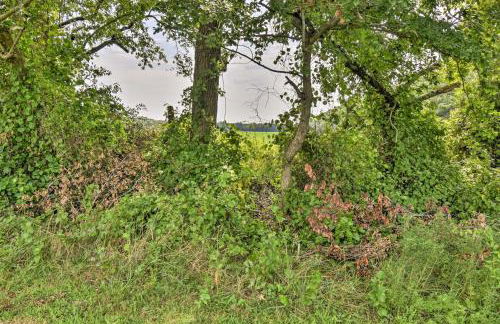 Pet-Friendly Woodsy Gem quarter Mi to Chesapeake Bay - Foto 38