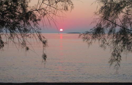 Armonia Houses - Photo 19