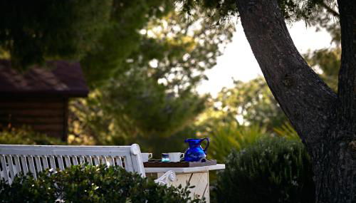 Villa Irini - Foto 3, Garden, Garden view