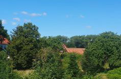 Lieblingsgast - Photo 24