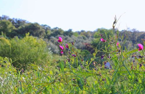 Casa del Angel by SIERRA VIVA - Foto 29