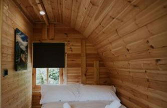 Ash Cabin with Hot Tub - Foto 4