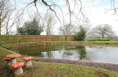 Spitfire Lodge - Foto 17