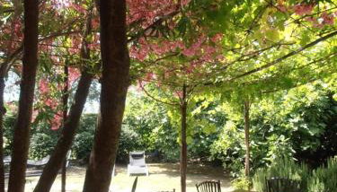 Le mazet du mas - Foto 3