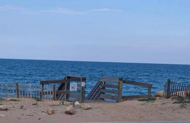 Ormond Beach, fun & loving sun! - Photo 32