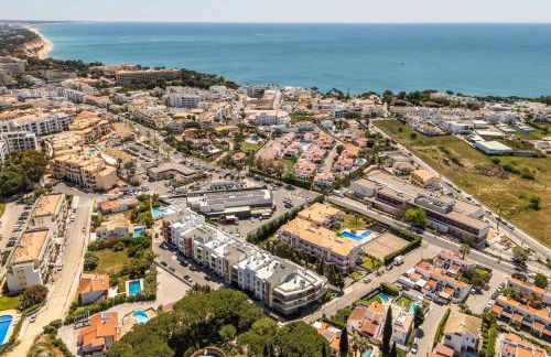 T2 Eucalipto 2A by Algarneto - Foto 14