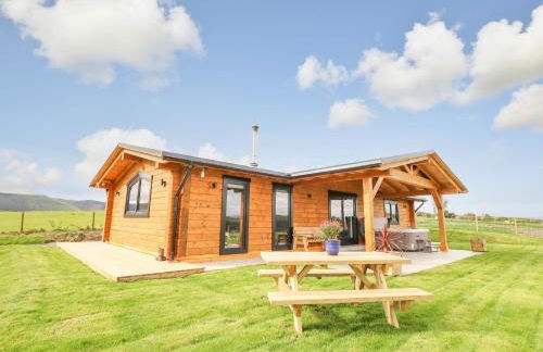 Bacheiddon Log Cabin - Photo 21