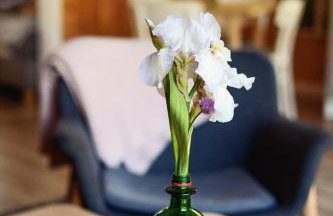 Domki Zalesie - Foto 20