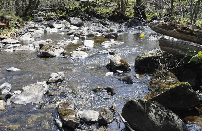 Country Retreats at Butterstone - Photo 15