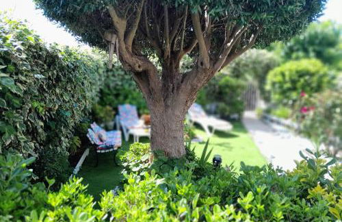 HomeHolidaysRentals Ancora - Costa Barcelona - Photo 26