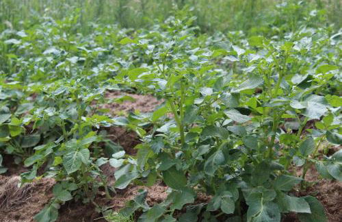 Landhaus Almyssen - Foto 46