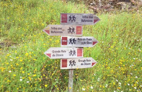 Blue Lake House - Foto 49