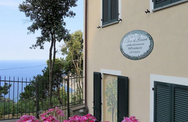 Lecci Di Soviore - Foto 32