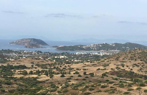 Studio Katafigi - Foto 16