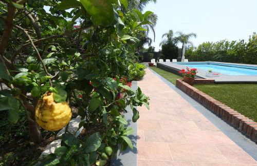 Casa delle foglie - Foto 6