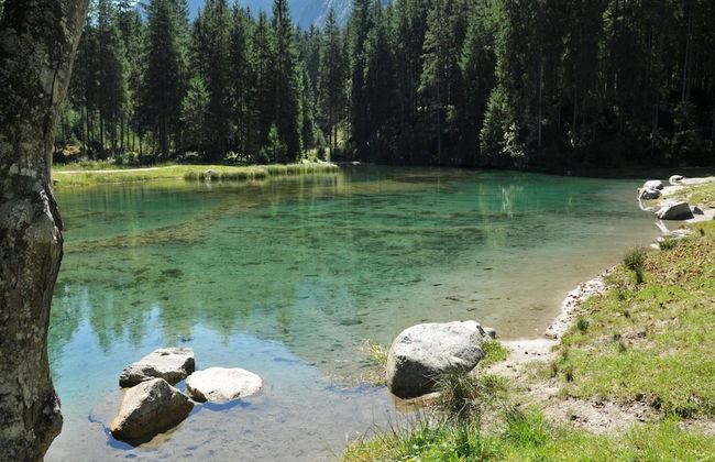 Apartment in Neukirchen Near Ski Lift & Sauna - Foto 27