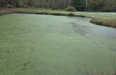 Évasion en Normandie - Foto 8