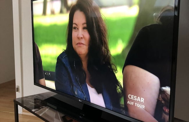 2 Zimmer Wohnung in Ludwigsburg Mitte - Foto 8