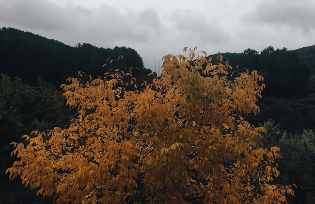 Apartamento Prunus Avium - Foto 21