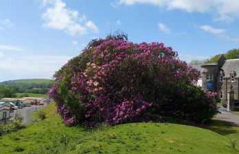 Westmorland 32 caravan - Foto 20