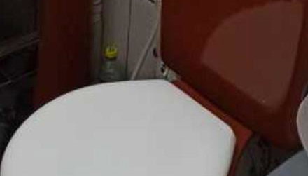 Casa Cantinho de Santarém - Foto 5