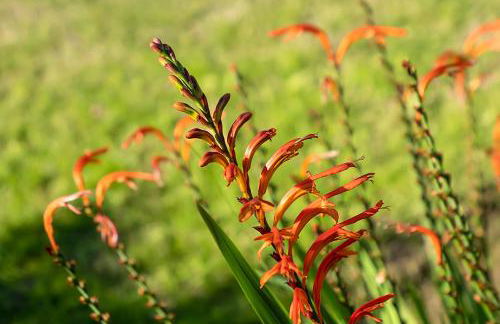 Casa Blanca - Foto 35