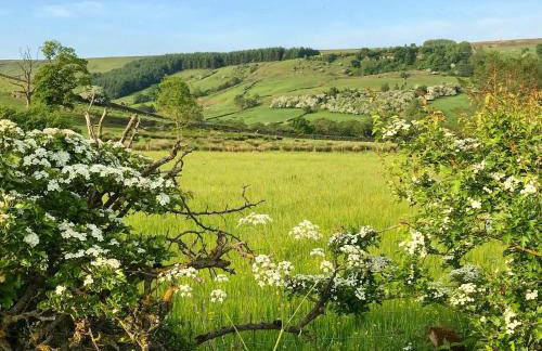 Climbers Cottage - Foto 29