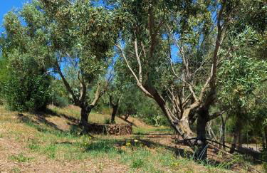 Casa Mamà - Foto 35