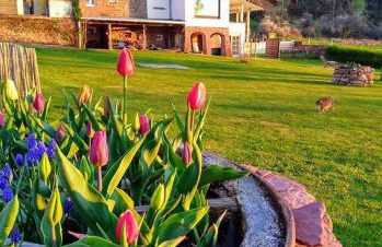 Kleine Milchbar Barrierefrei in den Bergen auf dem Hof Grindelborn - Foto 72