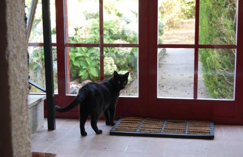 A Casa do Buxo - Foto 8