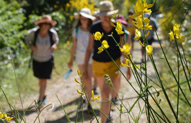 Tour in Castelfranco Piandiscò - Foto 7
