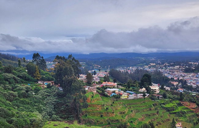 Songs of the Nilgiris - Foto 27