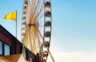 Bright 3 bedroom home with full kitchen, fenced backyard, sports court and free parking - Foto 29