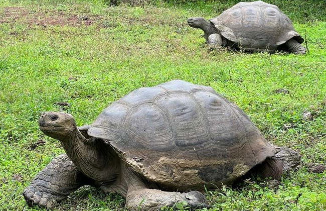 Galapagos Frontier Reserve + Lava Tunnels Tour - Photo 5