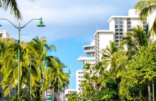 Visita guidata di Waikiki - Foto 1