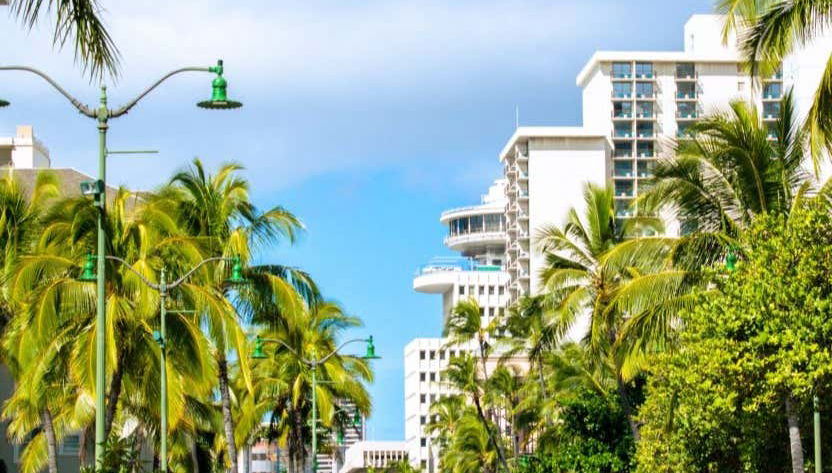 Durante a visita guiada por Waikiki